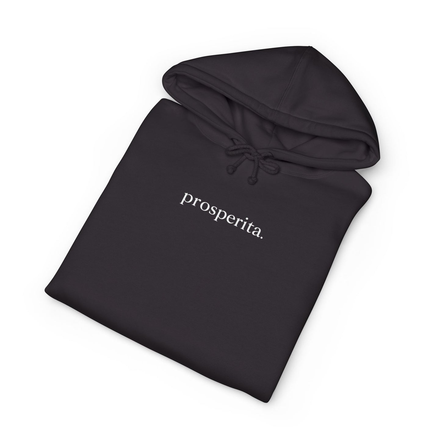 Prosperita Core Hoodie
